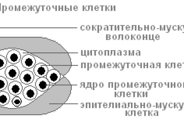 Кракен сайт ссылка тор браузере