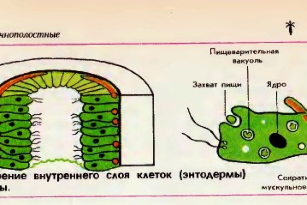 Кракен аккаунт не найден