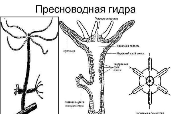 Кракен войти на сайт