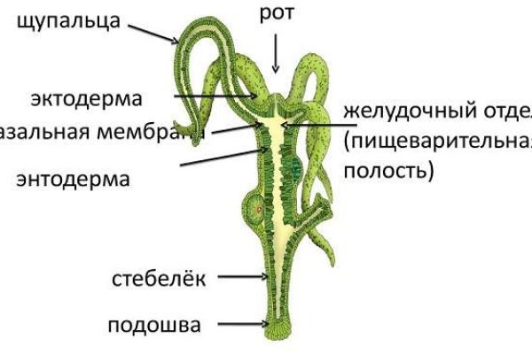 Кракен точка ат