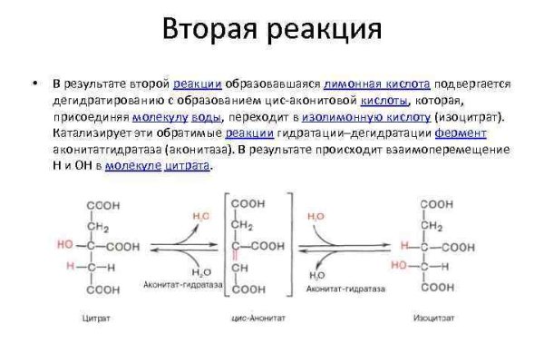 Кракен маркетплейс зеркало krk market com